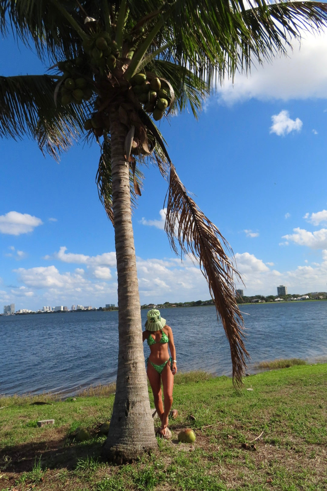 Green Sena Shell Swimsuit
