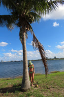 Green Sena Shell Swimsuit